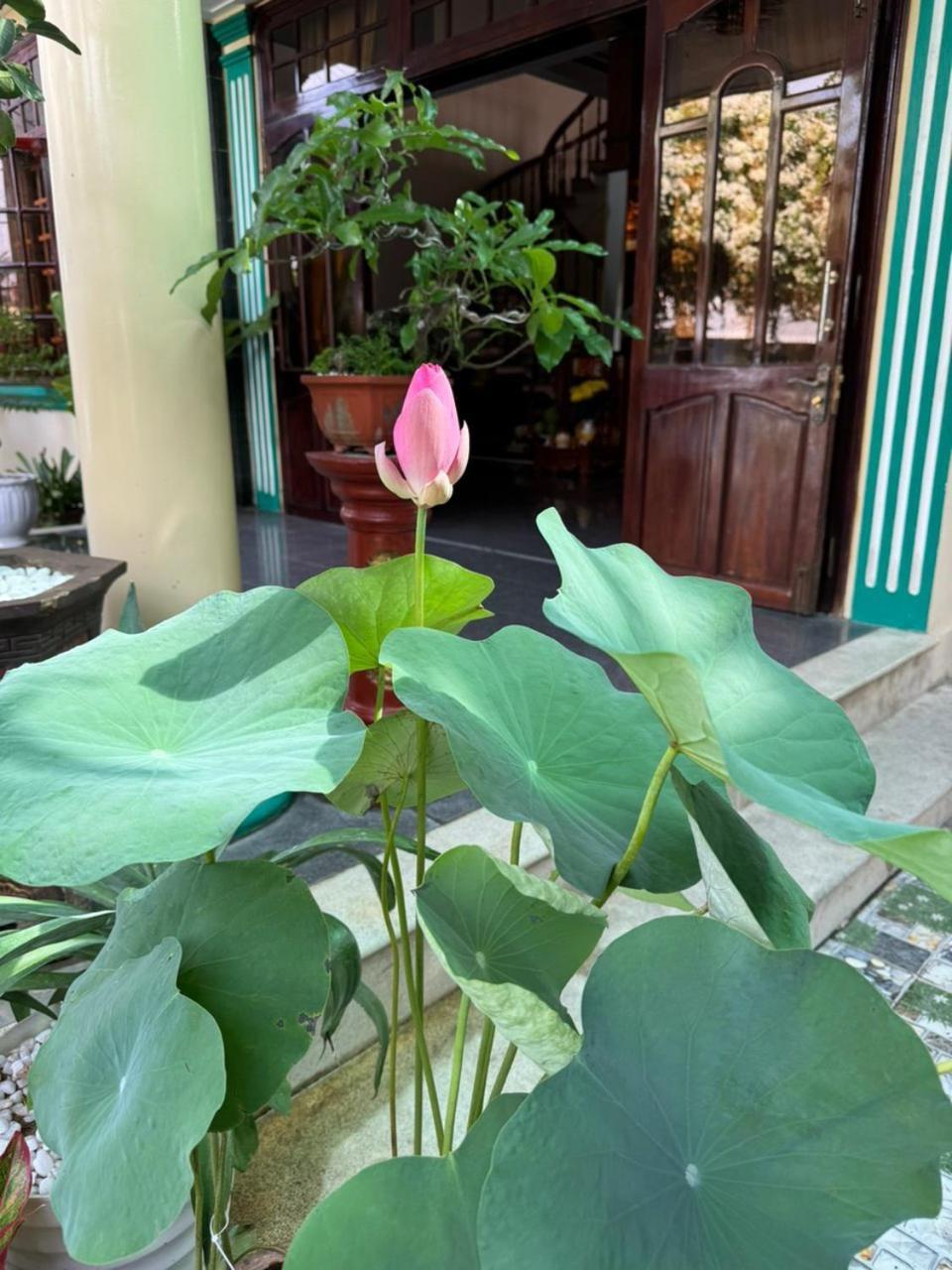 Noel Homestay Tuy Hòa Zewnętrze zdjęcie